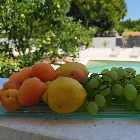 בית נופש Eden