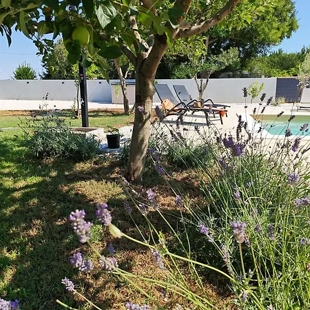 Casa vacanze Eden Zaton (Zadar)