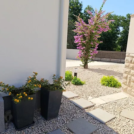 Eden Zaton (Zadar)